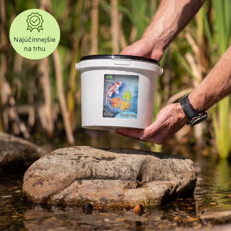 Winter Pond 3000 g